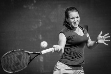 Ausschnitte 2167 - Lilienthal Open